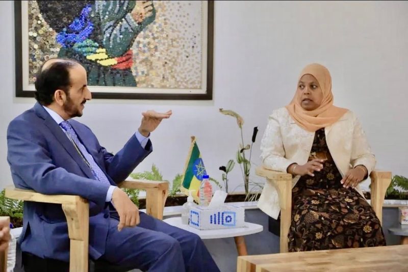 وكيل الوزارة للشؤون السياسية يجري مشاورات مع وزراء إثيوبيين