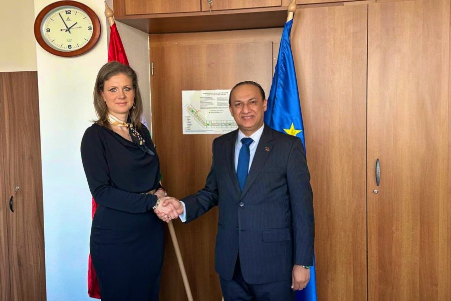 Hungary: Minister of state for environmental policy receives ambassador