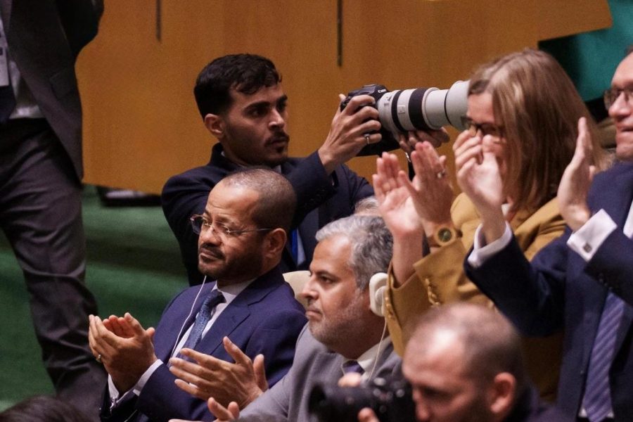 Minister at international conference on Settlement of the Palestinian cause